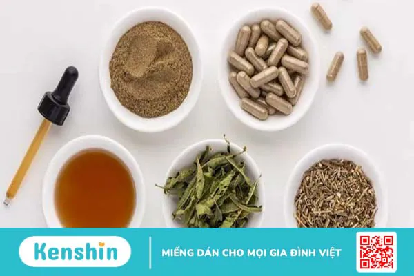 Liều dùng, cách dùng, lưu ý khi sử dụng Giảo cổ lam