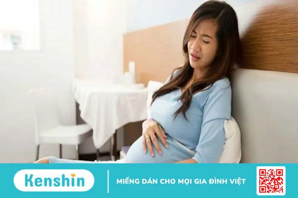 Liều dùng, cách dùng, lưu ý khi sử dụng Giảo cổ lam