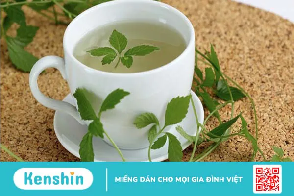 Lợi ích của Giảo cổ lam trong ổn định huyết áp