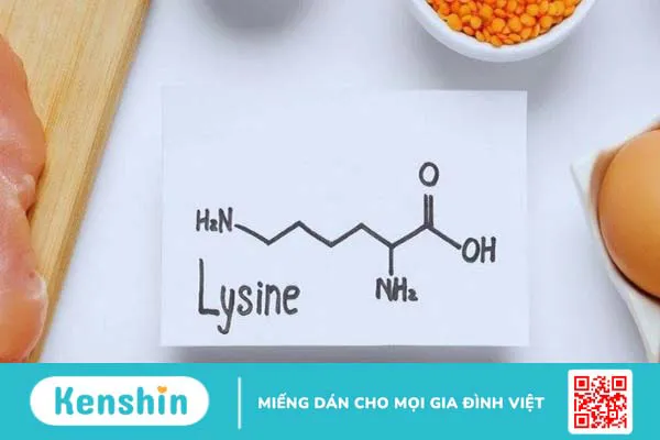 Lợi ích của Lysine đối với mụn trứng cá