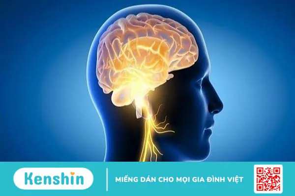 Lợi ích sức khỏe của chiết xuất hạt nho