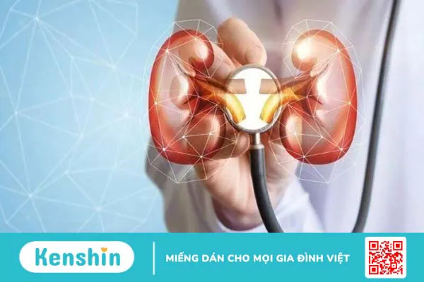 Lợi ích sức khỏe của chiết xuất hạt nho