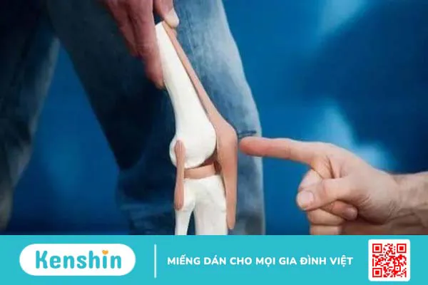 Lợi ích sức khỏe của chiết xuất hạt nho