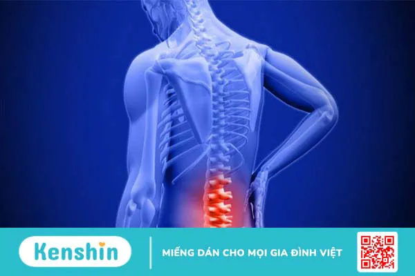 Long não là gì? Những lợi ích của long não đối với sức khỏe