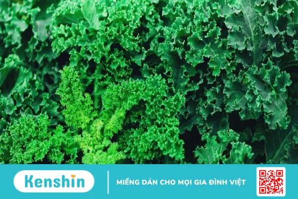 Lutein là gì? Tác dụng, cách dùng, thực phẩm giàu lutein