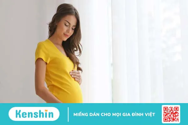 Lưu ý khi dùng cà gai leo bạn không nên bỏ qua