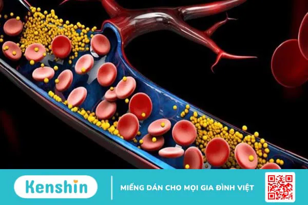 Lysine là gì? 11 tác dụng của Lysine đối với cơ thể bạn cần biết