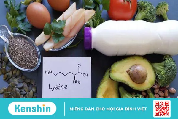 Lysine là gì? 11 tác dụng của Lysine đối với cơ thể bạn cần biết