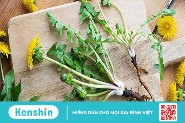 Mách bạn 22 cách chữa bệnh gút tại nhà có thể bạn chưa biết