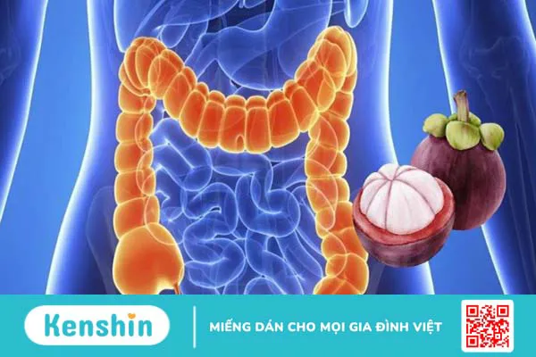 Măng cụt là gì? 10 tác dụng của măng cụt đối với sức khỏe bạn nên biết