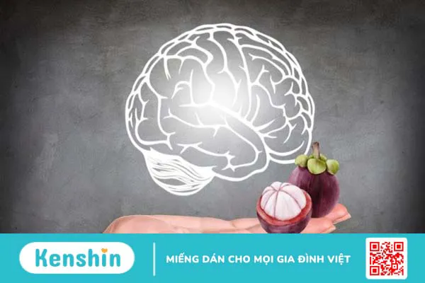 Măng cụt là gì? 10 tác dụng của măng cụt đối với sức khỏe bạn nên biết