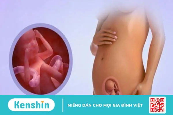 Mang thai bao nhiêu tuần thì biết trai hay gái? Phương pháp xác định