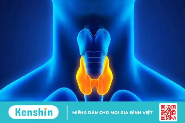 Mangan là gì? Vai trò của mangan đối với cơ thể