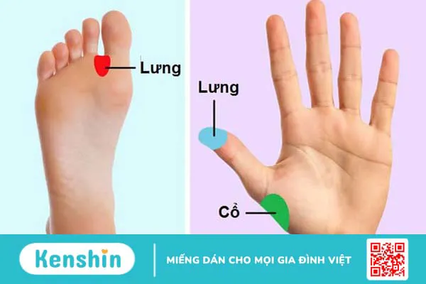 Massage lưng và cổ giúp giảm đau hiệu quả