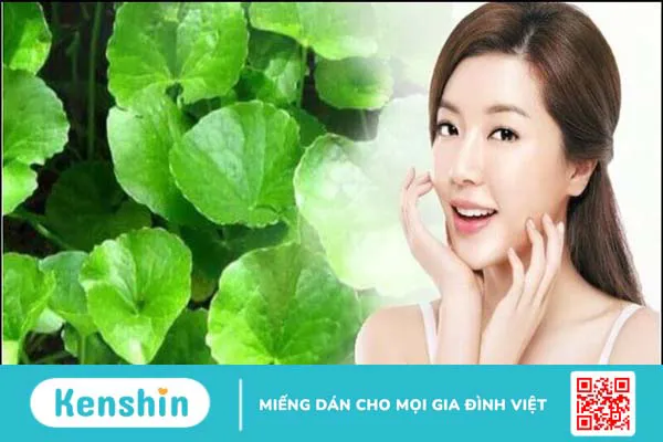 Mặt nạ rau má có tác dụng gì? 11 tác dụng của rau má với làn da bạn