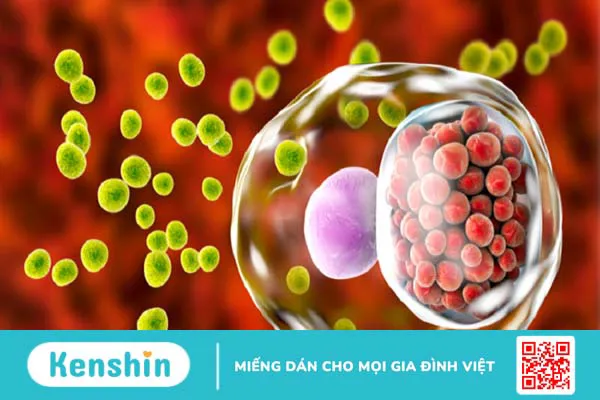 Màu tinh dịch giúp bạn nhận biết bệnh gì? Xem ngay