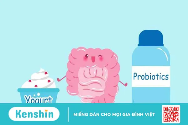 Men vi sinh là gì? Cách sử dụng men vi sinh đúng cách an toàn và hiệu quả