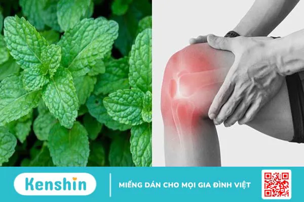 Menthol giảm đau khớp như thế nào?