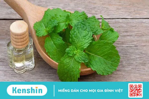 Menthol giảm đau khớp như thế nào?