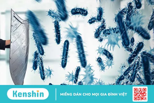 Menthol là gì? Công dụng của menthol với sức khỏe