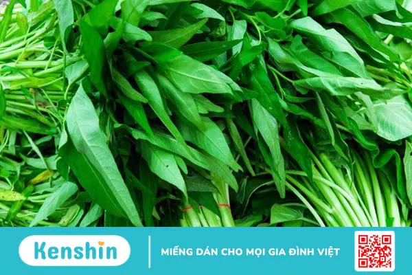 Mèo cắn, cào chảy máu có bị bệnh dại không? Cách xử lý vết thương