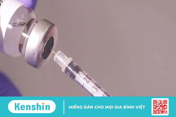 Mèo cắn, cào chảy máu có bị bệnh dại không? Cách xử lý vết thương