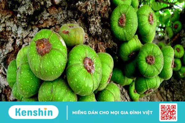 Mẹo chữa bệnh quai bị tại nhà không dùng thuốc