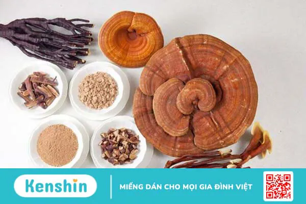 Nấm linh chi có tác dụng gì? 7 tác dụng của nấm linh chi trong y học