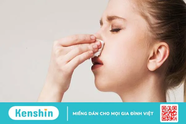 Nấm linh chi có tác dụng gì? 7 tác dụng của nấm linh chi trong y học