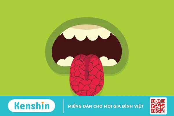 Nấm linh chi: Tác dụng, cách dùng, lưu ý khi sử dụng