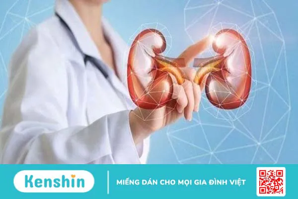 Nấm ngọc cẩu có tác dụng gì? Có thật sự là “thần dược” của nam giới