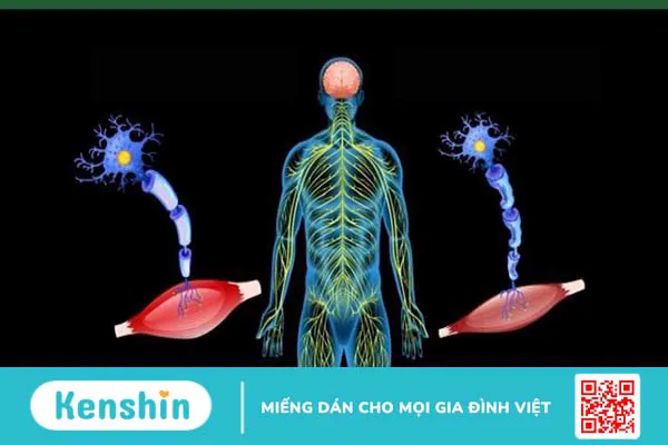 Natri clorit là gì? Lợi ích và rủi ro khi sử dụng natri clorit