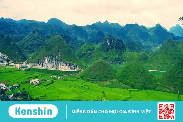 Nên cho thai nhi nghe nhạc gì để hỗ trợ con phát triển trong bụng mẹ