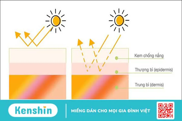 Nên dùng kem chống nắng vật lý hay hoá học? Cách lựa chọn phù hợp