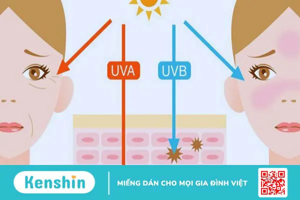 Nên dùng kem chống nắng vật lý hay hoá học? Cách lựa chọn phù hợp