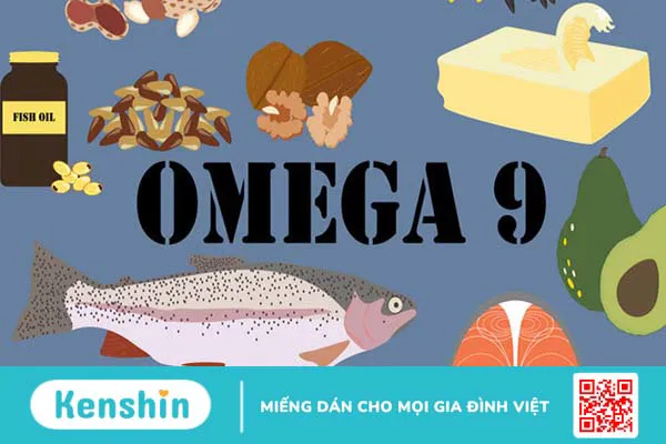 Nên dùng omega 3 hay omega 3-6-9