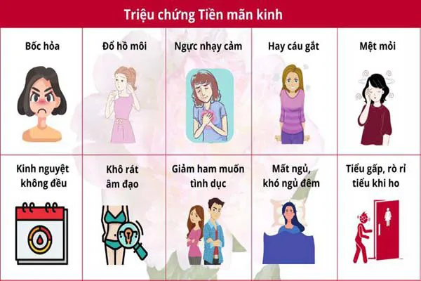 Ngũ vị tử là gì? 3 tác dụng của ngũ vị tử đối với sức khỏe