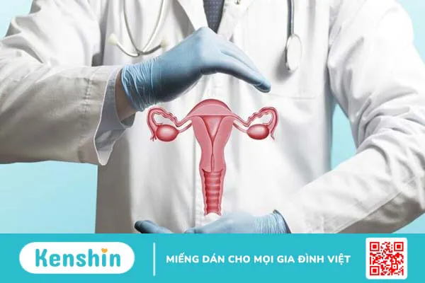 Ngứa âm đạo là bệnh gì? 8 nguyên nhân ngứa vùng kín cần biết