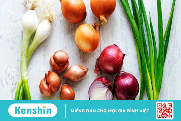 Người bệnh thận nên ăn gì? 21 thực phẩm tốt cho thận bạn nên biết