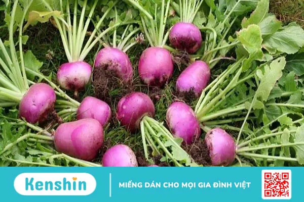 Người bệnh thận nên ăn gì? 21 thực phẩm tốt cho thận bạn nên biết