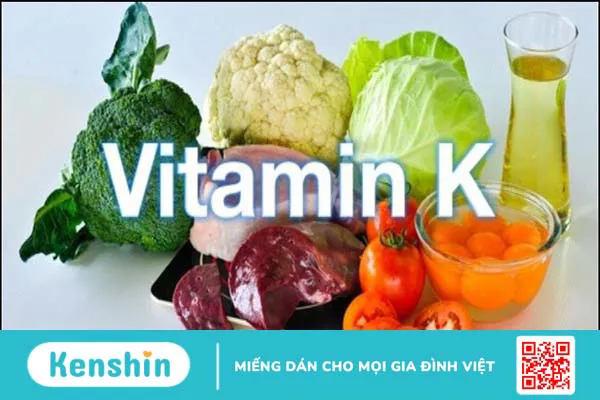 Người bị gãy xương nên ăn gì? 8 thực phẩm giúp mau lành khi bị gãy xương