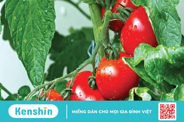 Người bị viêm mũi dị ứng nên ăn gì và không nên ăn gì?