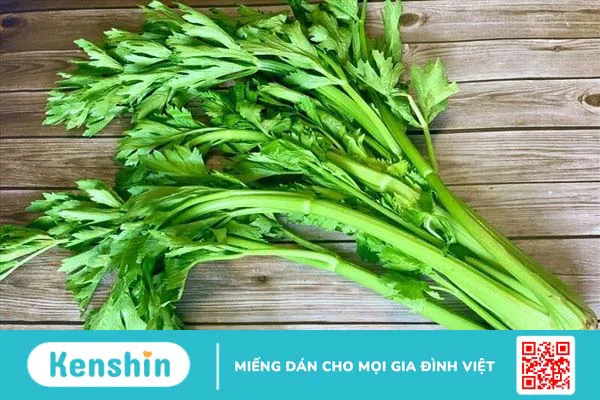 Người giãn tĩnh mạch thừng tinh nên ăn gì để cải thiện