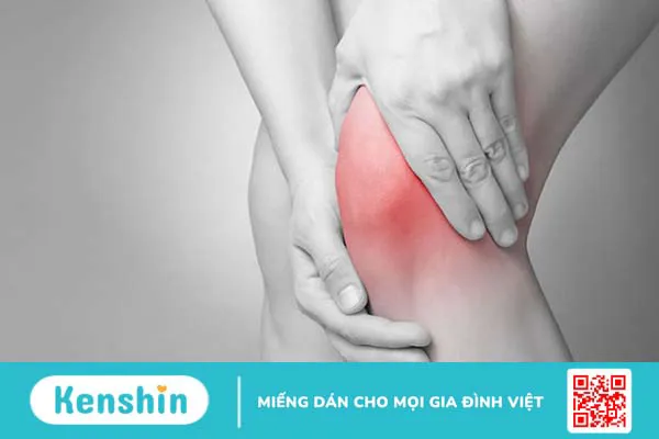 Ngưu bàng là gì? Top 8 công dụng và lưu ý sử dụng. Xem ngay!