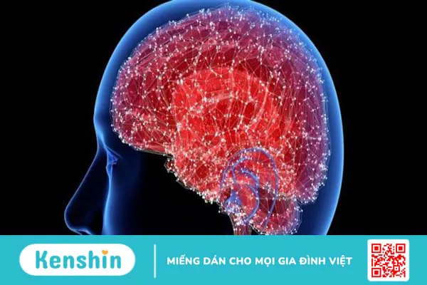 Ngưu bàng là gì? Top 8 công dụng và lưu ý sử dụng. Xem ngay!