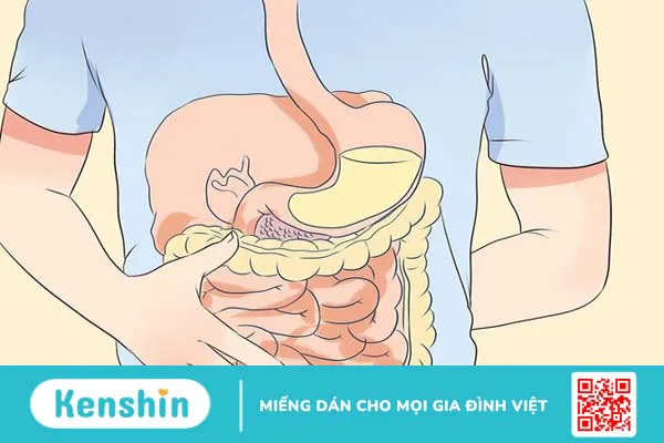 Ngưu bàng là gì? Top 8 công dụng và lưu ý sử dụng. Xem ngay!