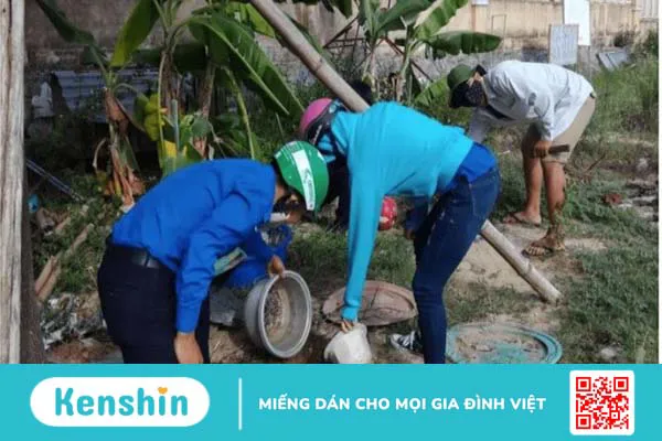 Nguy cơ bùng phát các dịch bệnh mùa hè và cách phòng tránh