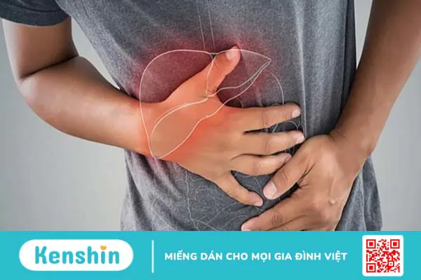 Nguyên nhân lách to (lá lách to) bạn nên biết