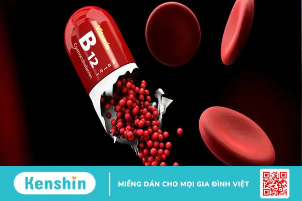 Nguyên nhân, triệu chứng, điều trị khi cơ thể thiếu vitamin B12