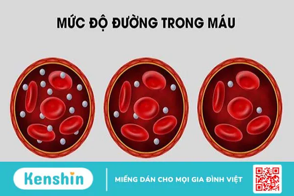 Nha đam có tác dụng gì? 11 công dụng của nha đam với sức khoẻ và da